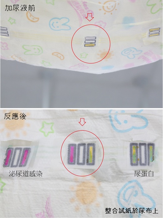 (如箭頭所示)反應前顏色：白、白、黃。反應後：原本無色的試紙，左邊顯示紅色為泌尿道感染、中間為控制組、右方顯示黃綠色為尿蛋白反應