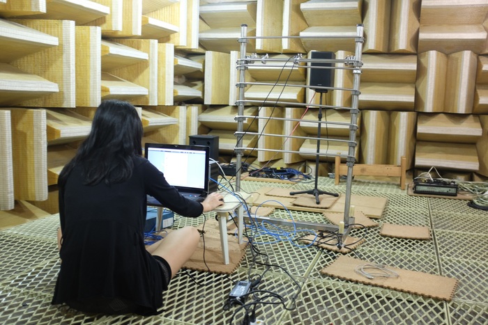 在可吸收無謂噪音的無響室中進行指向性麥克風的實驗
