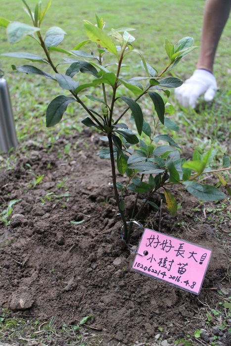 圖片說明