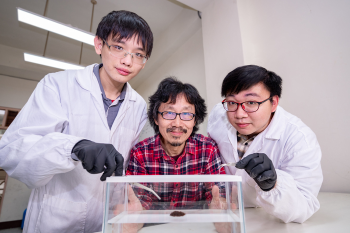 清華物理系教授洪在明(中)指導研究生陳中皓(右)、謝廷珩(左)研究紅火蟻結筏成因。