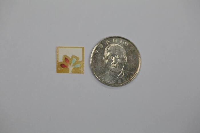 將紙基食品安全檢測試片做的像10元硬幣一般大小，透過觀察顏色的變化，就可以得知食品內特定食品添加劑的含量是否超標(類似石蕊試紙的原理)