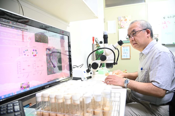 清華生技所教授桑自剛進行果蠅生物模式實驗