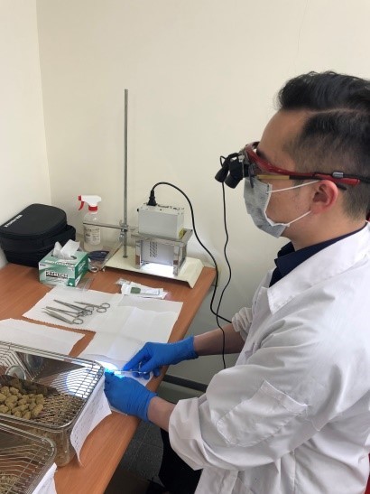 台北馬偕神經外科醫師林新曜在清華研究出奈米水膠可緩釋腦腫瘤化療藥物。