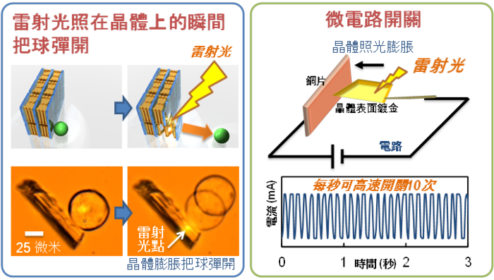 左圖：雷射光照在晶體上，分子晶體瞬間膨脹，把球彈開。右圖：控制雷射光照射與否，使晶體快速膨脹、收縮，電路每秒可開關高達10次。