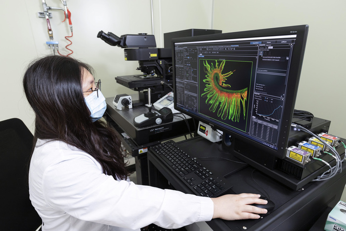 以3D數位病理影像系統觀察小鼠十二指腸絨毛採樣